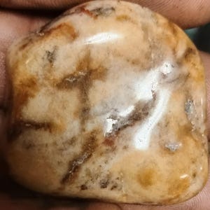 RARE Multi-Cross Cluster Stone - Natural Double-Sided Pictographic Curio - Hand-Polished Symbol Stone
