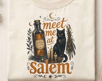 Meet Me At Salem Shirt Comfort Colors, Black Cat Witch T-Shirt, Vintage Halloween Witch Tee, Salem Halloween Gift