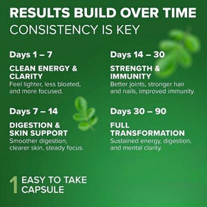 Pode incluir: Um gr&aacute;fico verde com texto branco detalhando os benef&iacute;cios de um suplemento ao longo do tempo. O texto inclui "Results Build Over Time" e "Consistency is Key". Os benef&iacute;cios s&atilde;o listados para os dias 1-7, 7-14, 14-30 e 30-90. O gr&aacute;fico tamb&eacute;m afirma "Easy to Take Capsule."