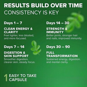 May include: A green graphic with white text detailing the benefits of a supplement over time. The text includes "Results Build Over Time" and "Consistency is Key." Benefits are listed for days 1-7, 7-14, 14-30, and 30-90. The graphic also states "Easy to Take Capsule."