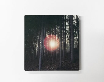Cowans Gap - Photograph of the Sun Peering Through the Trees on Metal
