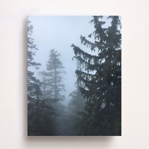 Grouse Mountain - A 11x14 metal print of a misty patch of pine trees on Grouse Mountain