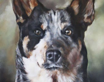 Custom Pet Portrait, Blue Heeler Portrait, Animal Art, Custom Paintings, Oil Painting, 11x14