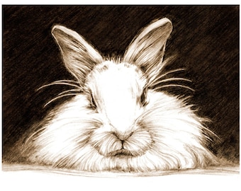 Art, Pencil Sketch, Rabbit Art, Rabbit Sketch, Bunny Pencil Sketch, Animal Drawing, Print of Original Art