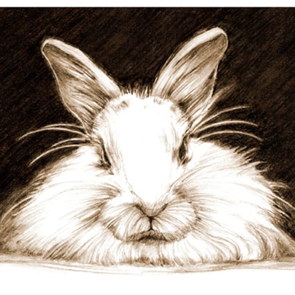 Art, Pencil Sketch, Rabbit Art, Rabbit Sketch, Bunny Pencil Sketch, Animal Drawing, Print of Original Art