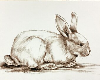 Rabbit Scetch, Print Of Original Scetch, Rabbit Art Print On Panel, 5x7 Bunny Print