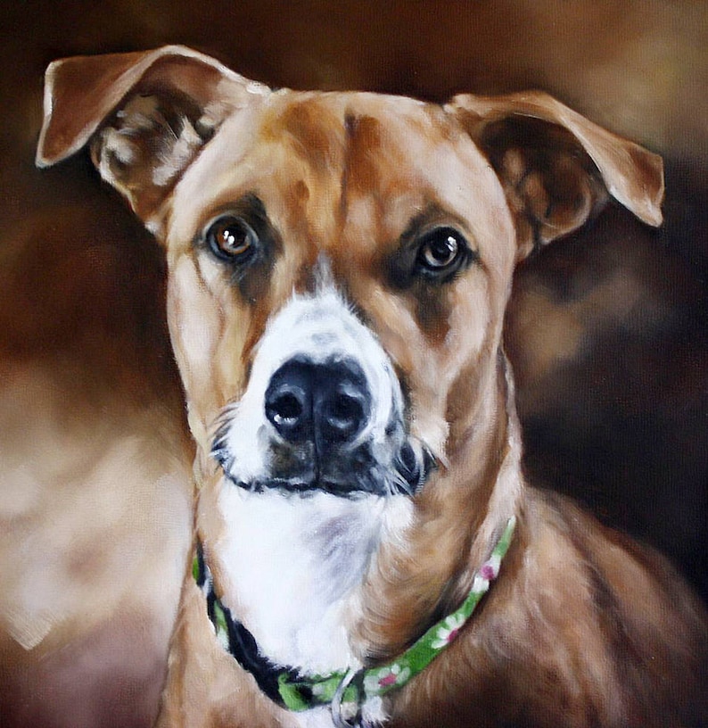 Custom Pet Portrait Oil Painting Animal Art Dog Portrait 10x10 Custom Paintings
