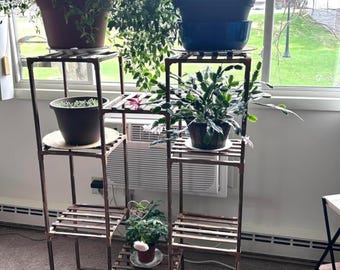 10 Tier Wooden Plant Stand Indoor Outdoor | Large Corner Plant Shelf for 11 Pots Tall Plant Rack Multi Level Holder for Balcony Living Room