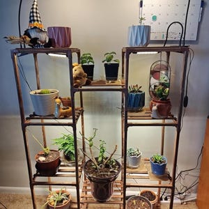 Large Indoor Plant Stand with Grow Light | 10-Tier Wooden Plant Shelf for Multiple Pots | Living Room, Patio, Boho Home Decor | Adjustable