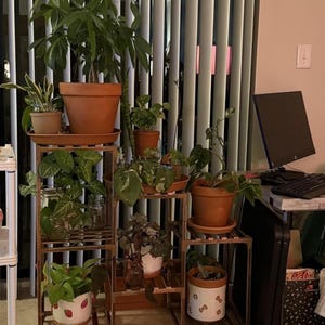 3 Tier Wooden Plant Stand Indoor Outdoor, Ladder Plant Shelf for 7 Pots, Space Saving Wood Plant Rack for Balcony Living Room Home Decor