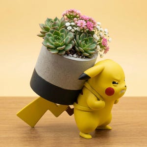Può includere: Una statuetta gialla di Pikachu sostiene una fioriera in cemento piena di succulente verdi e fiori rosa. La fioriera è grigia con una fascia nera. La statuetta ha guance rosse e orecchie con la punta nera. La fioriera è su una superficie di legno.