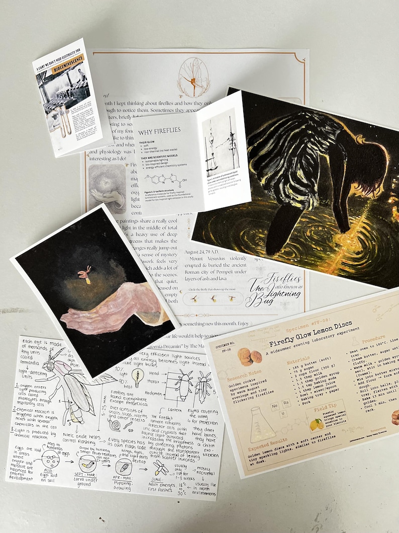 May include: A collection of educational papers and illustrations about fireflies, featuring a dark painting of a figure near water, a diagram of firefly anatomy, and a recipe card titled Firefly Glow Lemon Discs with printed text and sketches.