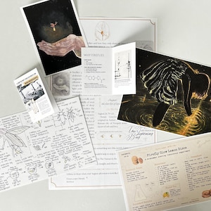 May include: A collection of printed materials featuring scientific illustrations of fireflies, diagrams of bioluminescence, a recipe for Firefly Glow Lemon Discs, and artistic prints depicting a person interacting with glowing fireflies in the dark.