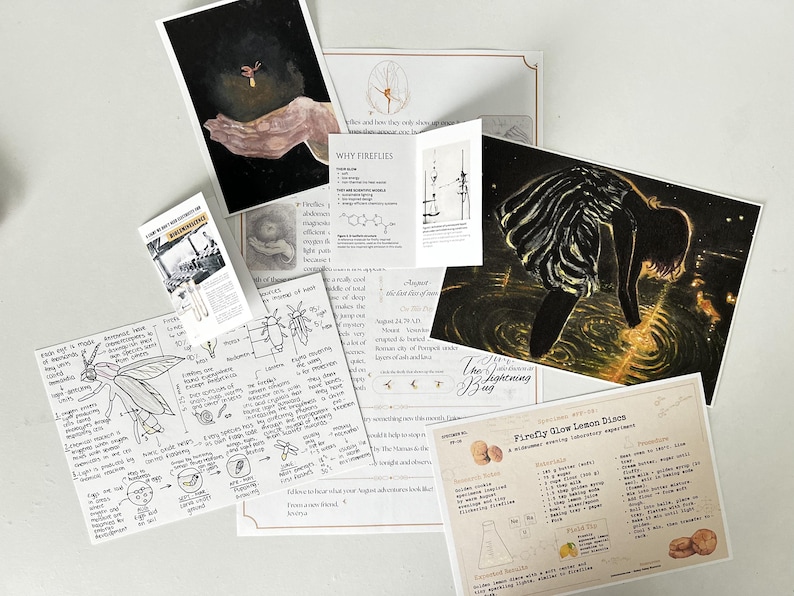 May include: A collection of printed materials featuring scientific illustrations of fireflies, diagrams of bioluminescence, a recipe for Firefly Glow Lemon Discs, and artistic prints depicting a person interacting with glowing fireflies in the dark.