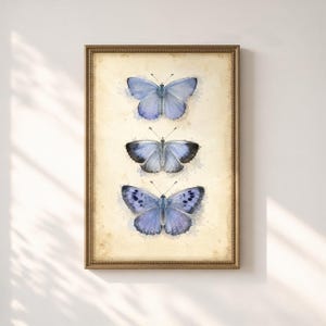 Può includere: Una stampa artistica da parete verticale incorniciata raffigurante tre distinte farfalle blu disposte in colonna. Ogni farfalla mostra motivi alari e sfumature di blu unici su uno sfondo di carta color crema invecchiata e strutturata.