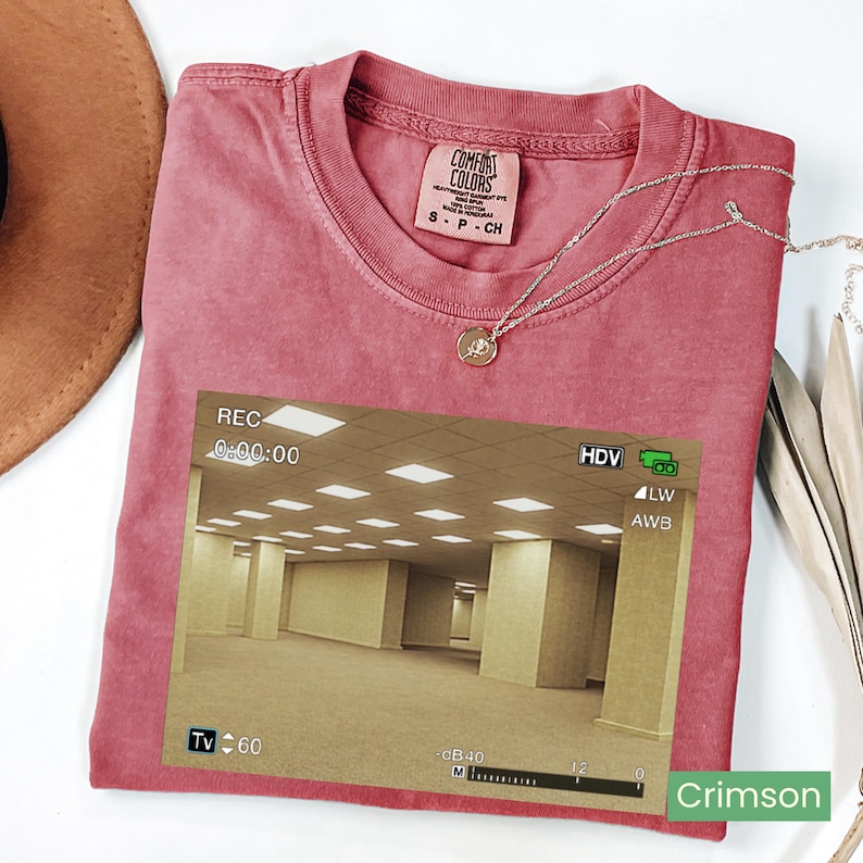 May include: A dusty rose crew neck t-shirt featuring a graphic print of a yellow-toned office hallway with a digital camera recording interface overlay. The interface includes text such as REC, 0:00:00, HDV, and Tv 60. A small gold pendant necklace rests on the fabric.
