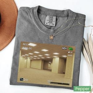 May include: A charcoal gray crew neck t-shirt featuring a graphic print of a yellow-toned, empty office hallway with a digital camera recording interface overlay. The shirt has a Comfort Colors brand label at the neck and a small gold pendant necklace.