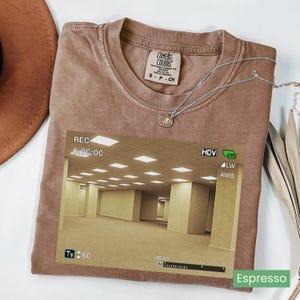 May include: A brown short-sleeve t-shirt featuring a graphic print of a yellow-toned empty office hallway with camera recording interface text including REC, 0:00:00, HDV, Tv 60, and dB 40. The shirt has a Comfort Colors brand label at the inner neckline.