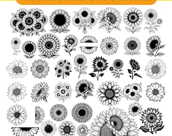 Sonnenblume SVG Bundle | Blumenschnittdateien für Cricut & Silhouette | Handgezeichnete Sonnenblumen PNG | Sommer Blumen Clipart