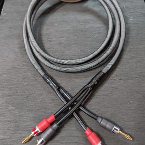 May include: A pair of black and gray speaker cables with gold-plated banana plugs and red connectors. The cables are arranged in a circular pattern, with the plugs crossed at the bottom.
