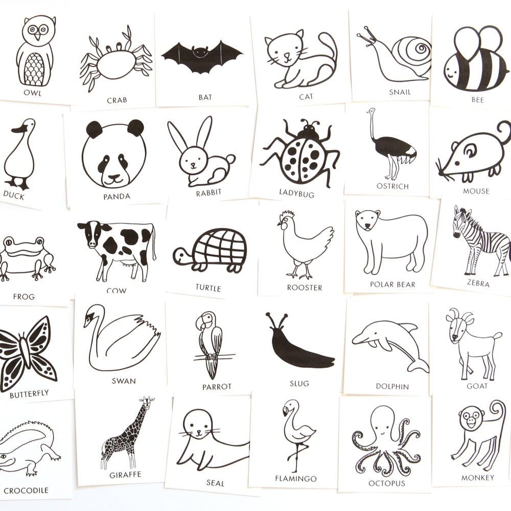Animal Charades Game For Kids 48 Hand drawn Animal Pictures Birthday animal-charades-game-for-kids-48-hand-drawn-animal-pictures-birthday