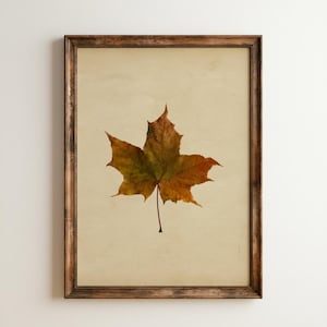 Pressed Maple Leaf Print, Vintage Botanical Wall Art, Minimalist Autumn Poster, Rustic Fall Home Decor, Large Warm Tone Digital Download