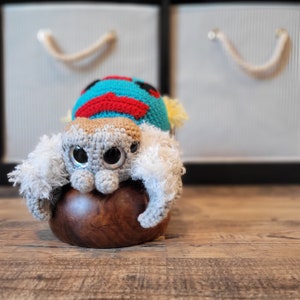 Jumping Spider / Maratus Speciosus Peacock Spider / Creepy Cute Spider / Kawaii Goth Plush Spider / Fantasy Creature Handmade Gifts