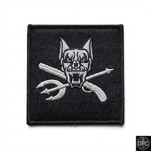 Écusson tactique pour moral en forme de crâne de loup, insigne brodé d'armes croisées, gilet airsoft thermocollant, cadeau motard militaire