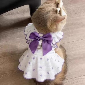 Puede incluir: Un gato con un vestido blanco con patrones de corazones morados y un gran lazo morado. El vestido tiene mangas y ribetes con volantes. Un lazo a juego está en la cabeza del gato. El gato está sentado en un suelo de madera.