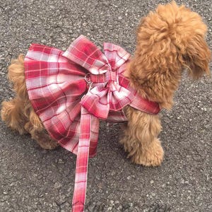 Puede incluir: Un perro pequeño, esponjoso y marrón claro que lleva un vestido a cuadros rojo y blanco con un lazo grande. El vestido tiene una correa a juego. El perro está de pie sobre una superficie gris texturizada.