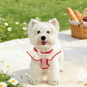 May include: A fluffy white Westie dog wearing a red and white striped harness with a frilly collar. The harness has a label reading "Bonne Journée". The dog is on a white blanket, with daisies in the background.
