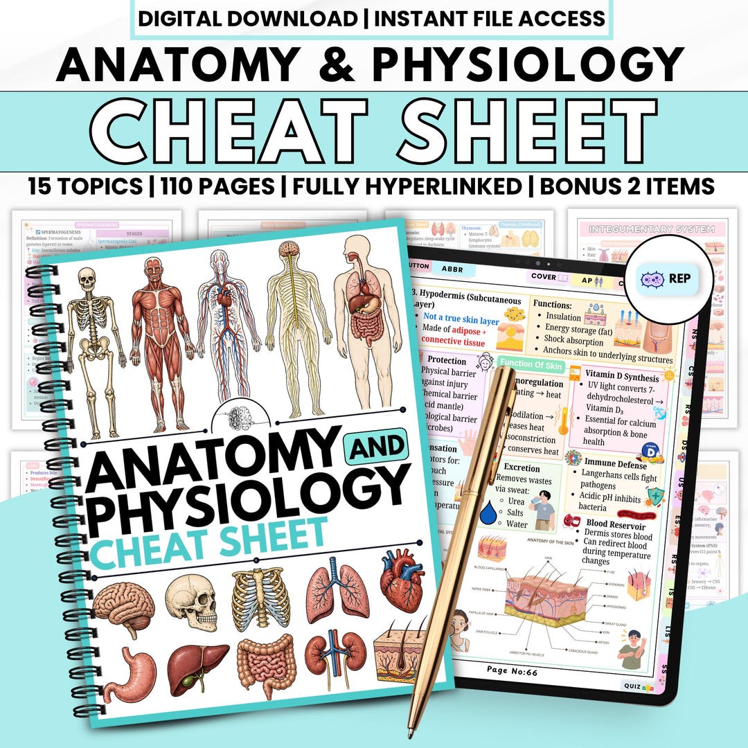 Anatomy and Physiology Cheat Sheet | Human Anatomy Notes | A&P Study ...