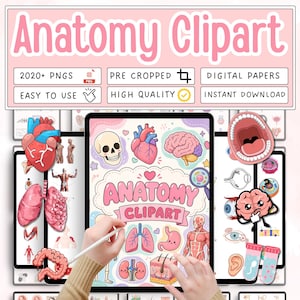 Könnte beinhalten: Digitales Anatomie-Clipart mit Illustrationen menschlicher Organe wie Herz, Gehirn und Lunge. Der Text "Anatomy Clipart", "2020+ PNGs", "Pre Cropped", "Digital Papers", "Easy to Use", "High Quality" und "Instant Download" ist enthalten.