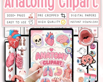 2000+ Anatomy Clipart Bundle, Nursing School PNGs, Medical Student Study Guide Stickers, Human Organs Illustrations, Digital Download