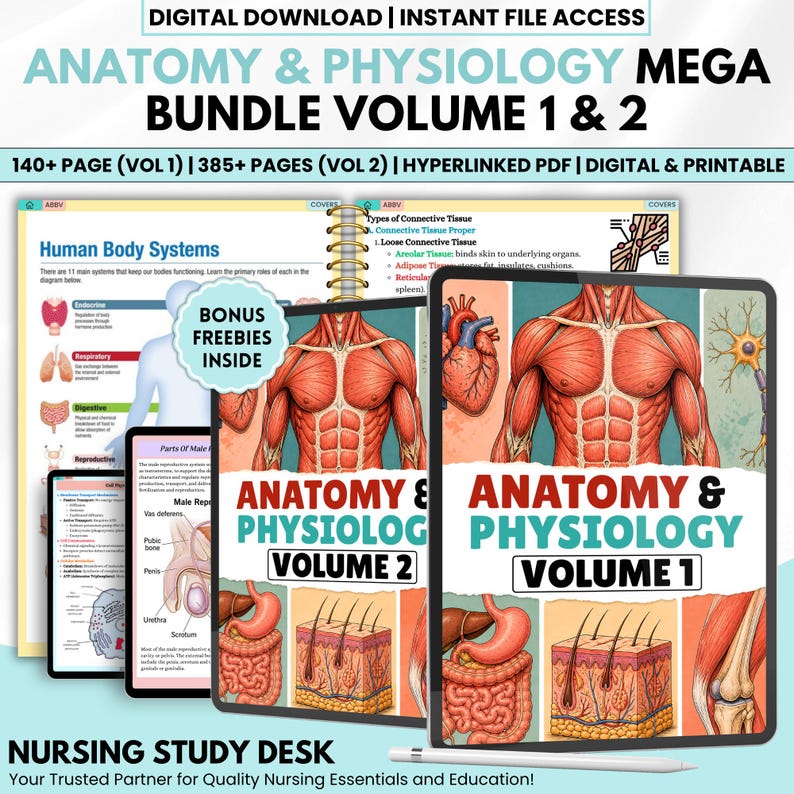 Anatomy and Physiology I & II Mega Bundle | Nursing Notes | Human ...