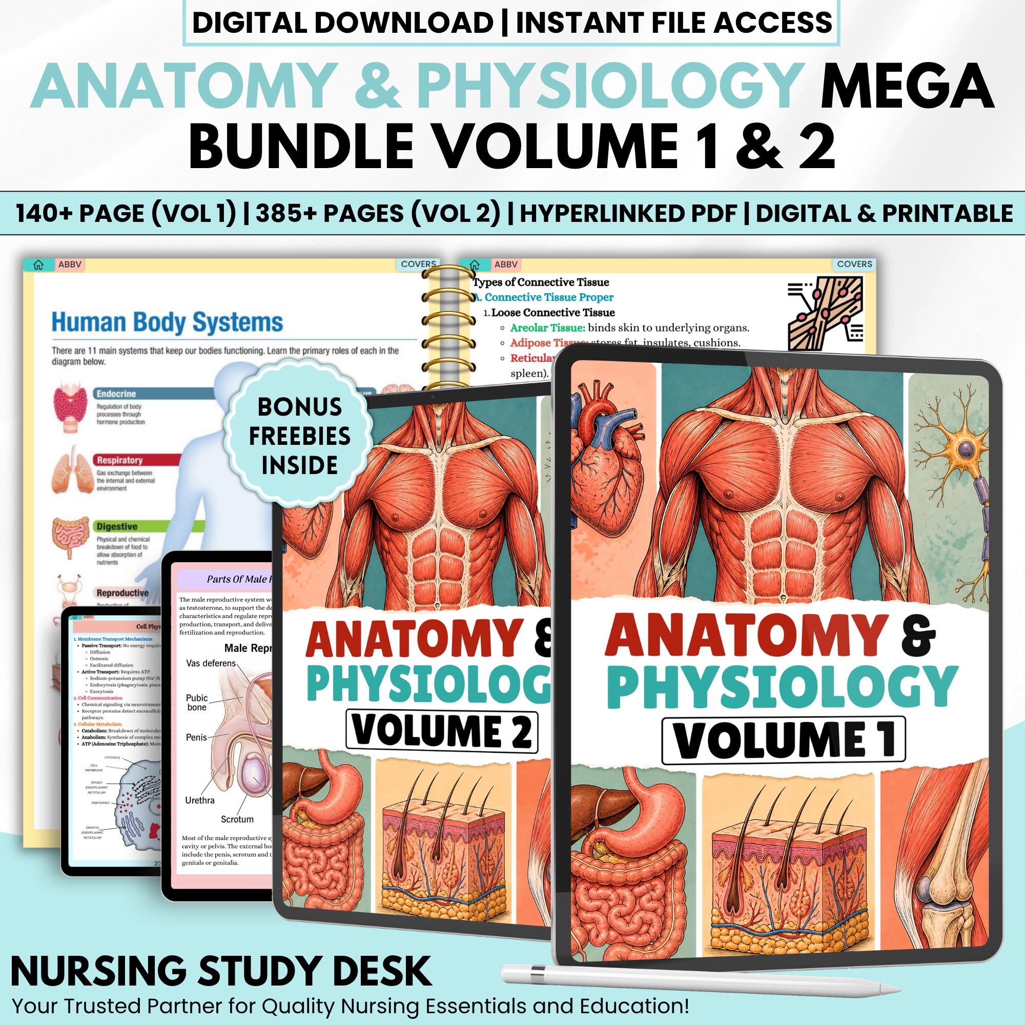 Anatomy and Physiology I & II Mega Bundle | Nursing Notes | Human ...