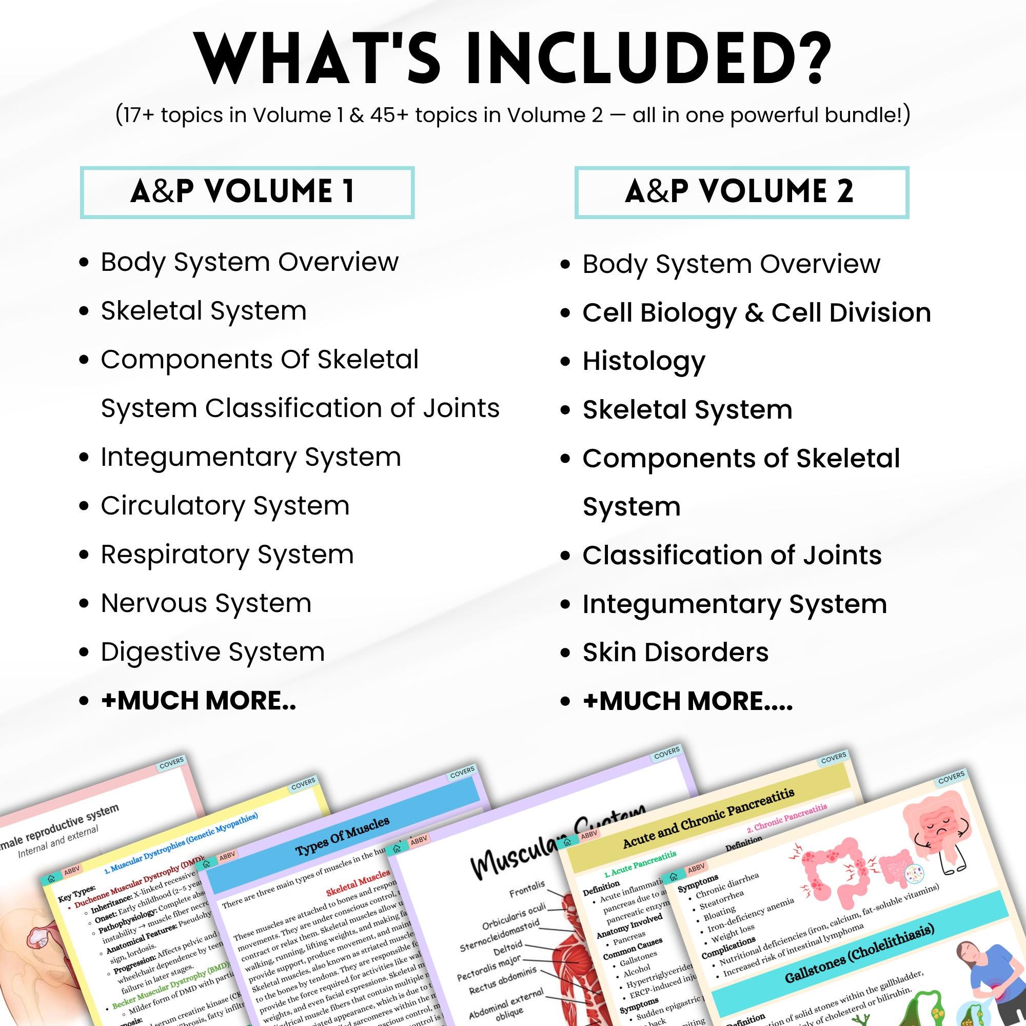 Anatomy and Physiology I & II Mega Bundle | Nursing Notes | Human ...