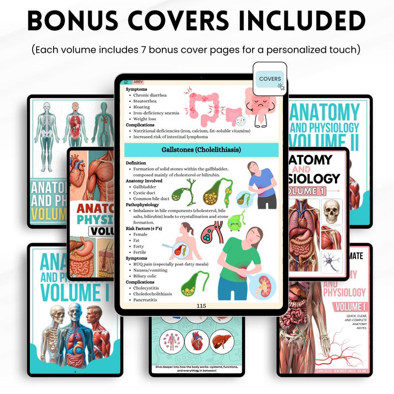Anatomy and Physiology I & II Mega Bundle | Nursing Notes | Human ...