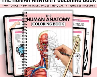 Human Anatomy Coloring Book Bundle | Anatomy Study Guide | Nursing Student Notes | Anatomy Art | Instant Download PDF