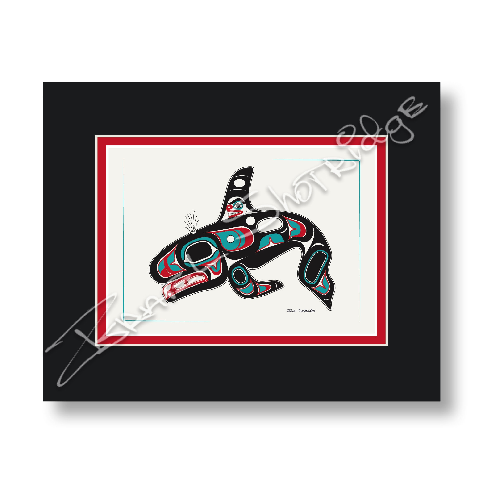 Killer Whale 10