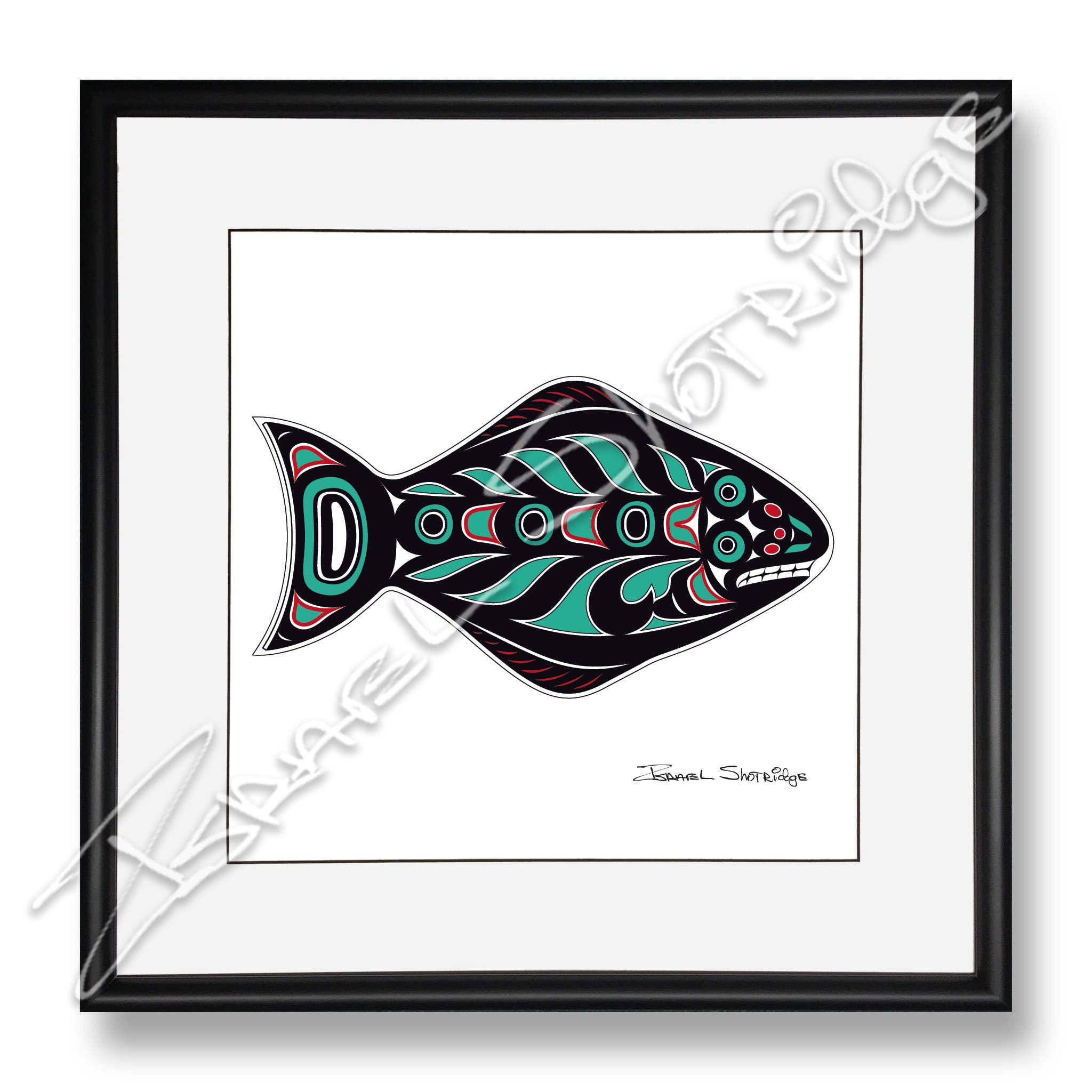 Halibut Limited Edition Giclée Art Print (single Matte Framed