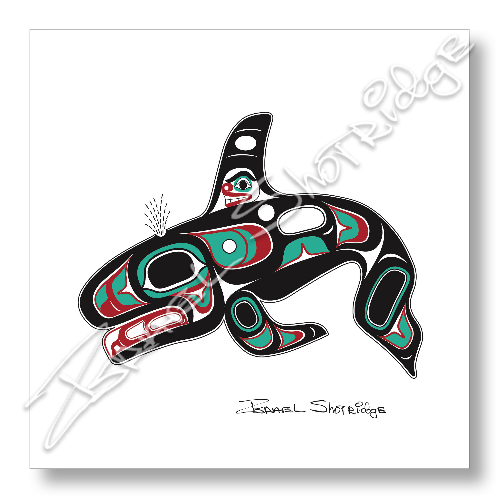 Killer Whale Limited Edition Giclée Art Print (unframed) / Tlingit