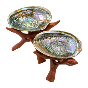 May include: Two abalone shells on wooden stands. The shells are iridescent with green, blue, and purple hues. The stands are a reddish brown color.