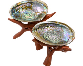 Large Abalone Shell & Folding Carved Wooden Stand Combo