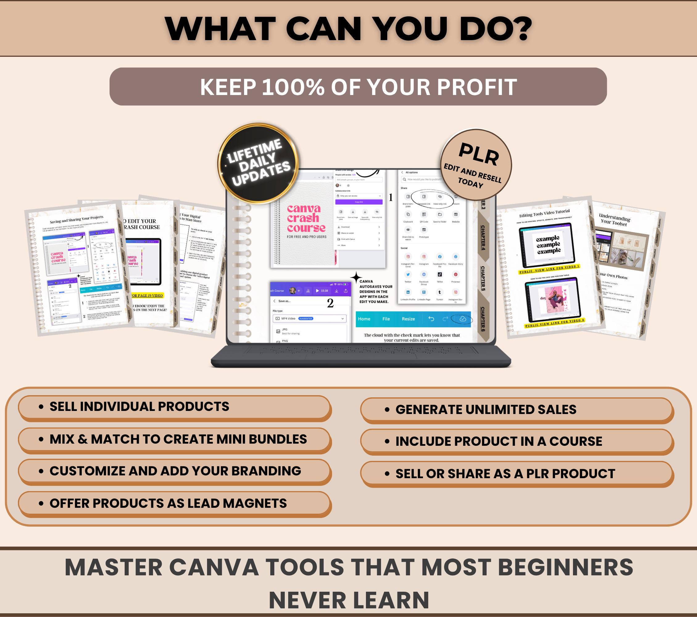 Canva Crash Course PLR, Editable Canva Training With Videos, Learn ...