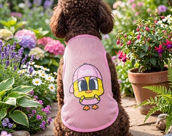 Pink knitted pet t-shirt with cartoon chick design and "Girl" cap