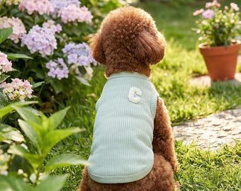 Abbigliamento per cani in maglia a nido d'ape color verde menta con toppa a forma di "C".