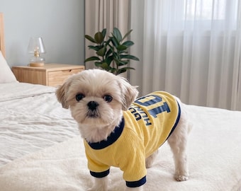 Camiseta para perro "Goal Hunter 10", estilo deportivo amarillo y azul.