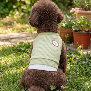 Grüner gerippter Hundepullover – minimalistischer Stil mit Teddybär-Aufnäher