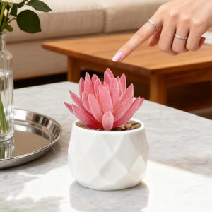 May include: A pink succulent plant in a white geometric ceramic pot. The plant has soft, textured leaves and sits on small pebbles. The pot is on a marble surface, with a wooden table and a sofa in the background.